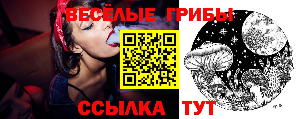 Старая Купавна  Галлюциногенные грибы Psilocybine cubensis  Вход с VPN 