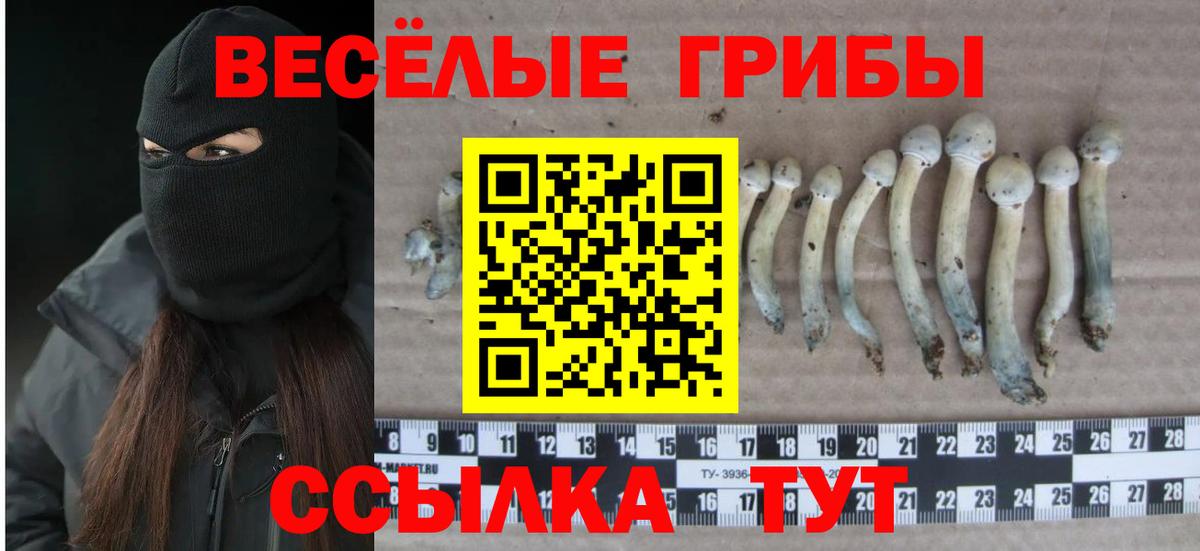 Псилоцибиновые грибы мухоморы Старая Купавна